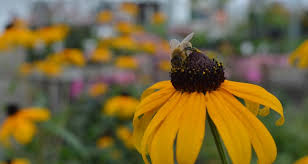 Check spelling or type a new query. Gardener S Supply Company