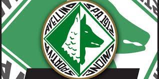 Avellino torna nel calcio che conta! Avellino Calcio Il Ritorno Del Logo E Ufficiale Mercoledi L Incontro Con I Tifosi Sportavellino It