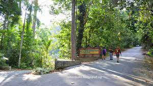 Tusindvis af nye billeder af høj kvalitet tilføjes hver dag. Trekking At Hutan Lipur Gunung Pulai Recreational Forest In Johor Malaysia Johor Kaki Travels For Food