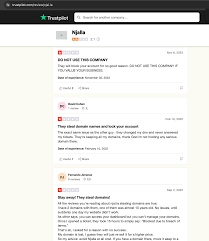 Whats Wrong with Njalla Privacy & Largest Review of Bulletproof Domain  Registrars | by Domain Abuse Master | Medium