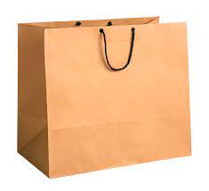 Shopping Bag Png Image Bags Online Bags Fashion Bags