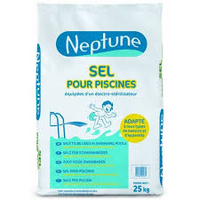 Sel Piscine En Pastilles Pour Electrolyse Neptune Sac De 25 Kg