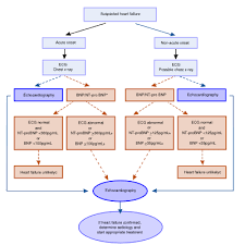 heart failure textbook of cardiology