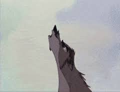 Werwolf mädchen anime wolf cgi teen wolf wolf kunst bilder persönlichkeitsinspiration. Best White Wolf Gifs Gfycat