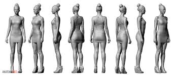 Whether you are a student revising for exams, or you just want to learn more about the amazing structure of the human body, i hope that you find the content on this channel helpful for you. Female Body Reference Anatomy 360