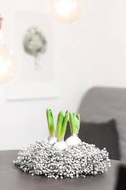 Winterlicher Flachskranz 30 Cm Diy Set Mit Gewachsten Hyazinthen Bestellen In 2020 Winterkranz Kranz Diy Anleitungen