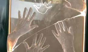 Image result for z p%u0159ednice jedovat 