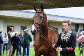 Logan Rawlings Holds Her Own at Mondial du Lion