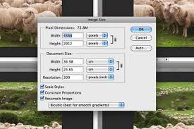 How To Resize Images In Photoshop Without Losing Quality Photoshop Basic Photoshop Tutorials Surreal Photoshop Tutorial