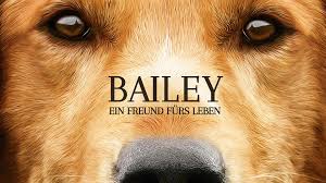 It's a very gentle film that quickly engages the. Amazon De Hachiko Eine Wunderbare Freundschaft Dt Ov Ansehen Prime Video