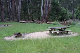 Pin By Lu Ann Randall On Camping Florida Camping Camping Places Free Camping