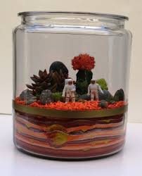 7 Idees Pour Un Terrarium Vegetal Original Terrarium Plants Cactus Terrarium Sand Art