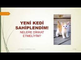 Youtube Kanalim Hayat Dedikleri Panosundaki Pin