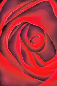 Maybe you would like to learn more about one of these? Pin By Claire Holley On Georgia O Keeffe Georgia Okeefe Georgia O Keefe Art Georgia O Keeffe Paintings