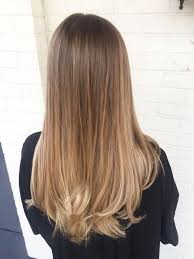 Balayage Miel Balayage Miel Balayage Miel Balayage Miel Y Caramelo Balayage Miel Brune Balayage Miel Brunette Hair Color Hair Styles Ombre Hair Color