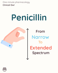 Image result for Extended Spectrum Penicillin