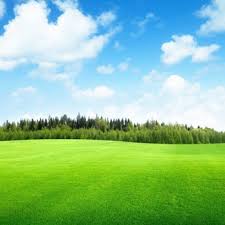 We are here to help in anyway we can! Affordable Lawn Care 11 Photos Lawn Services Wichita Ks Phone Number
