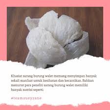 Namun, berbeda untuk burung walet karena sarangnya bisa dimanfaatkan untuk kesehatan dan kecantikan wanita. Apa Kebaikan Pati Sarang Burung Pada Bne By Pna Viral Facebook