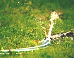 And, well, quite honestly you probably think you can repair a sprinkler head, but, maybe, just maybe that is why we have been around for over 43 years… we have that irrigation knowledge and give you the full service you need. Causes Of Dry Spots On The Lawn Greenside Sprinkler Repair
