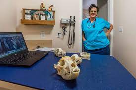 Every day at faith animal hospital, it is our friendly team's responsibility to help make your veterinary experience a positive one to ensure that both you and your pet are at ease. Kindness Pet Hospital East Sowal Com