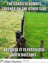 The Grass Is Always Greener On The Other Side Of The Fence Examples Hahaha Funny Quotes Top Quotes Quote Of The Week