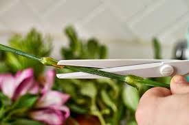 Maybe you would like to learn more about one of these? How To Make Flower Food To Keep Cut Flowers Fresh Kitchn