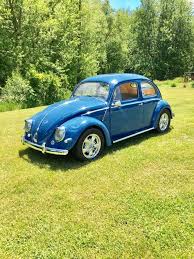 1956 Vw Beetle Vw Beetles Volkswagen Beetle Beetle