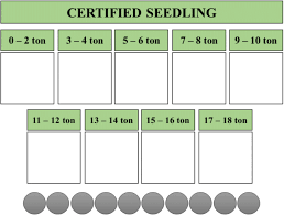 What to expect using safe exam browser. The Role Of Certification Risk And Time Preferences In Promoting Adoption Of Climate Resilient Citrus Varieties In Indonesia Springerlink