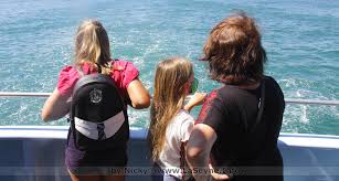 Laseyne Info Bus Et Bateaux