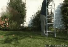 Fall Off Ladder Gifs Tenor