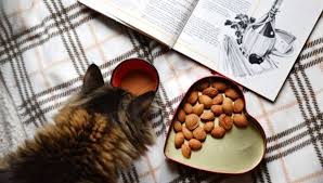 If your cat has a penchant for licking butter behind your back, you should move with speed to arrest the habit before the cat develops some serious health issues. Can Cats Eat Almonds My British Shorthair