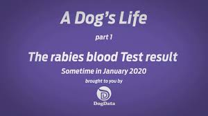 We did not find results for: Mydogdata