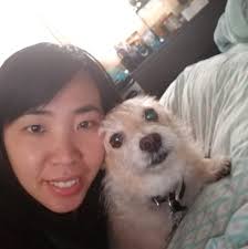 Any frozen dessert places similar to meet fresh?