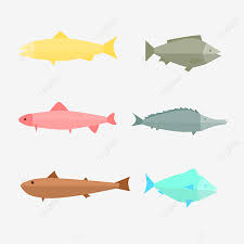 Download catfish / ikan lele vektor coreldraw cdr & hd png. Flache Design Fische Illustration Cartoon Vector Png Flacher Fisch Fischkarikatur Ikan Png Und Vektor Zum Kostenlosen Download
