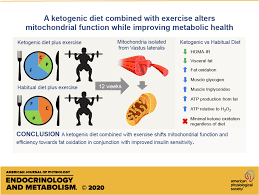A Ketogenic Diet Combined With Exercise Alters Mitochondrial Function In Human Skeletal Muscle While Improving Metabolic Health American Journal Of Physiology Endocrinology And Metabolism
