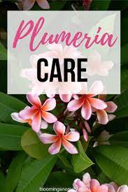 Pin On Sustainable Gardening And Methods