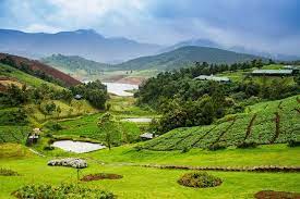 7 Popular Hill Station To Visit In Tamil Nadu Oyo Hotels Travel Blog In 2021 Hill Station Places To Visit Holiday Destinations In India