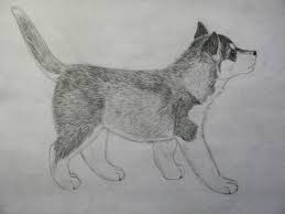 Pngtree has millions of free png, vectors and psd graphic resources for designers.| Orasnap Cute Dog Drawing Realistic