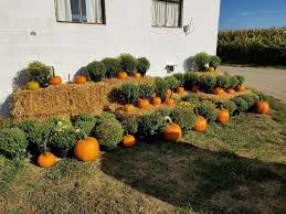 Image result for tbn:0PJB32OL7JwfOM::farm4.static.flickr.com/3324/3329876139_f2d551139f.jpg