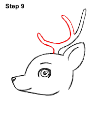 How to draw a deer. How To Draw A Deer Cartoon Video Step By Step Pictures