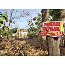 Untuk memenuhi kebutuhan berbagai jenis kebutuhan di rumah anda, tersedia berbagai macam pilihan tanah kavling dengan material, desain & model terlengkap di tokopedia. Jual Tanah Kavling Status Shm Lokasi Utara Smp 3 Situbondo Akses Jalan Luas Di Situnbondo Tribunjualbeli Com