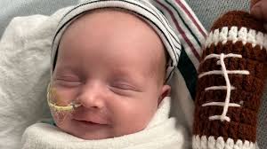 Researcher Grows Opium Poppies in Old Copper Mine