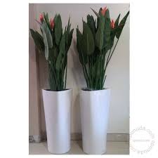 Slike od presano suhoo cvece. Vestacko Cvece Strelitzia H 130 Cm Eponuda Com