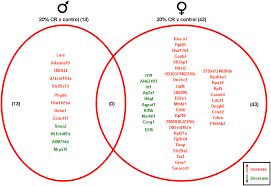 Babycenter is committed to providing the most helpful and trustworthy pregnancy and parenting information in the world. Plos One Gonadal Transcriptome Alterations In Response To Dietary Energy Intake Sensing The Reproductive Environment
