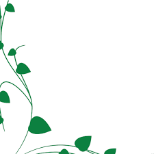 Pilih dari sumber gambar hd bunga vektor png dan unduh dalam bentuk png. Vine Clipart Border Vektor Bunga Hijau Putih Transparent Png Free Download On Tpng Net