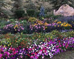 Landtech specializes in commercial landscape construction and maintenance along the front range of colorado. Home Rocky Mountain Custom Landscapes