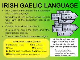 Others would, however, insist that the irish don't speak gaelic — they speak irish. Ireland Typically Irish Things Ireland Is A Rural Community And There Are Many Sheep In The Irish Country Many Sheep In Ireland Have Got Black Faces Ppt Download