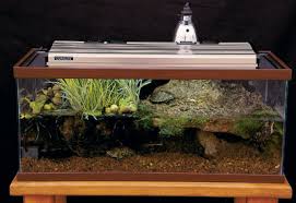 Do you need a heat lamp for a and as it produces no light, like a ceramic, the change in that respect was no bother to the snake. Reptile Enclosures And Set Ups Reptiles Magazine