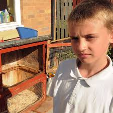 Norton family left devastated after pet ferrets stolen during a burglary