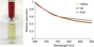 Image result for Cerebrospinal Fluid Color